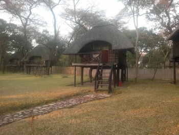 the tree lodge at sikumi