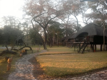 the tree lodge at sikumi
