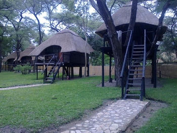 the tree lodge at sikumi