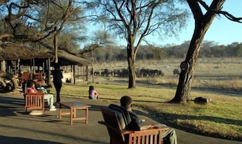 the tree lodge at sikumi