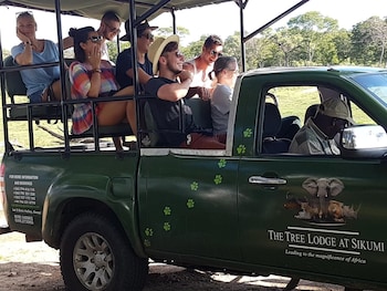 the tree lodge at sikumi