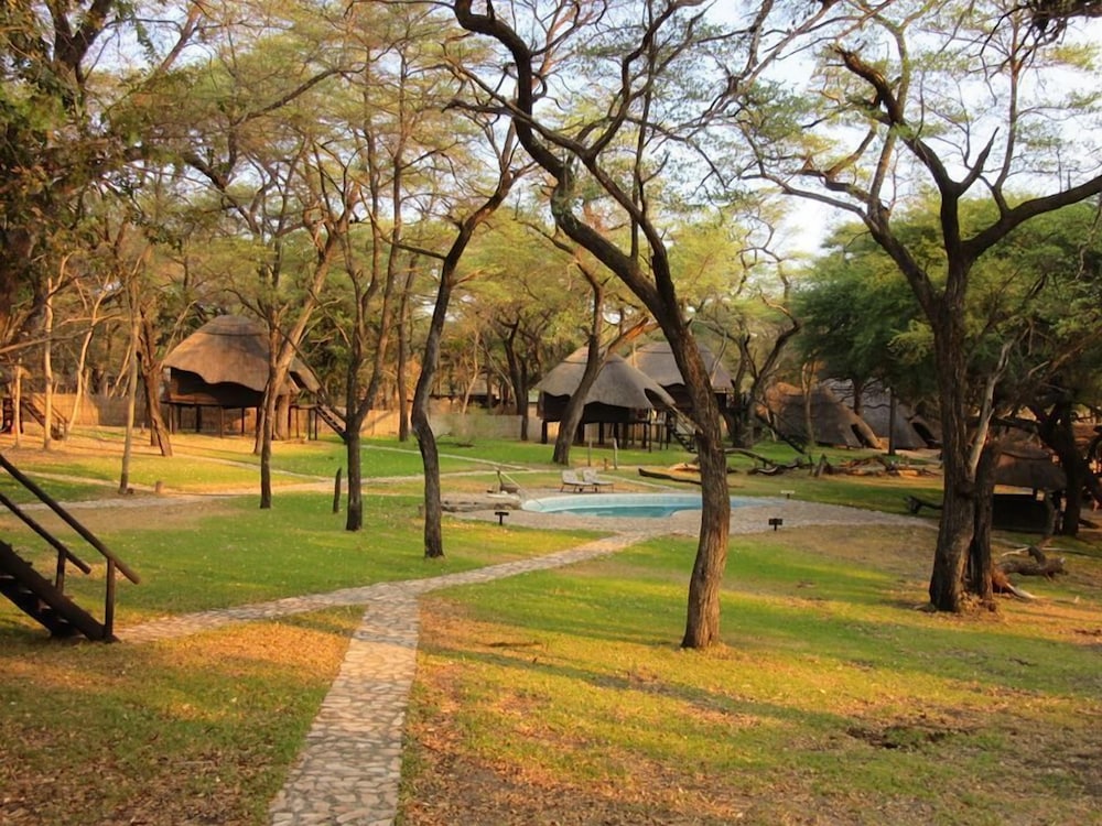 the tree lodge at sikumi