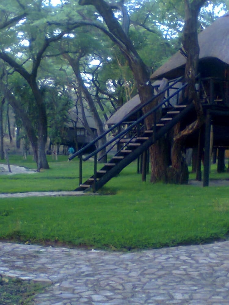 the tree lodge at sikumi