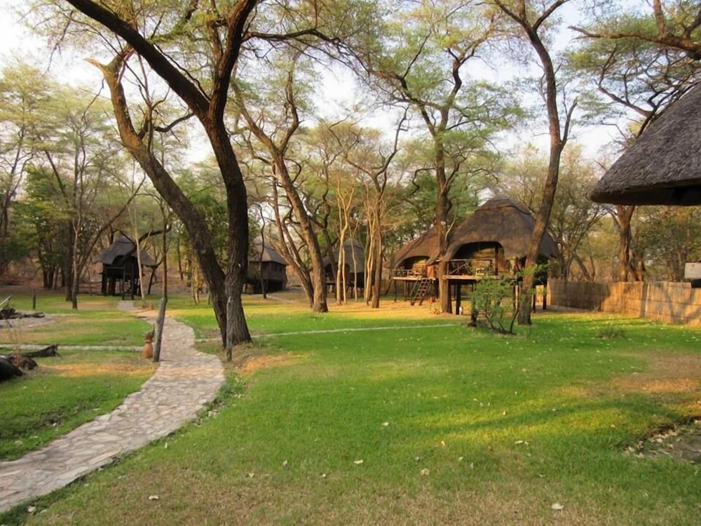 the tree lodge at sikumi