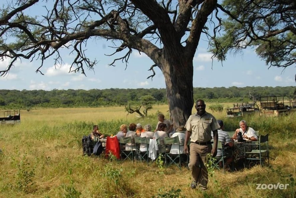 the tree lodge at sikumi