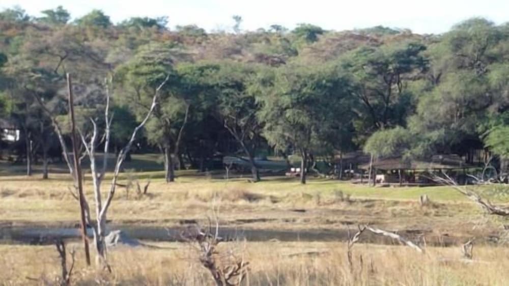 the tree lodge at sikumi