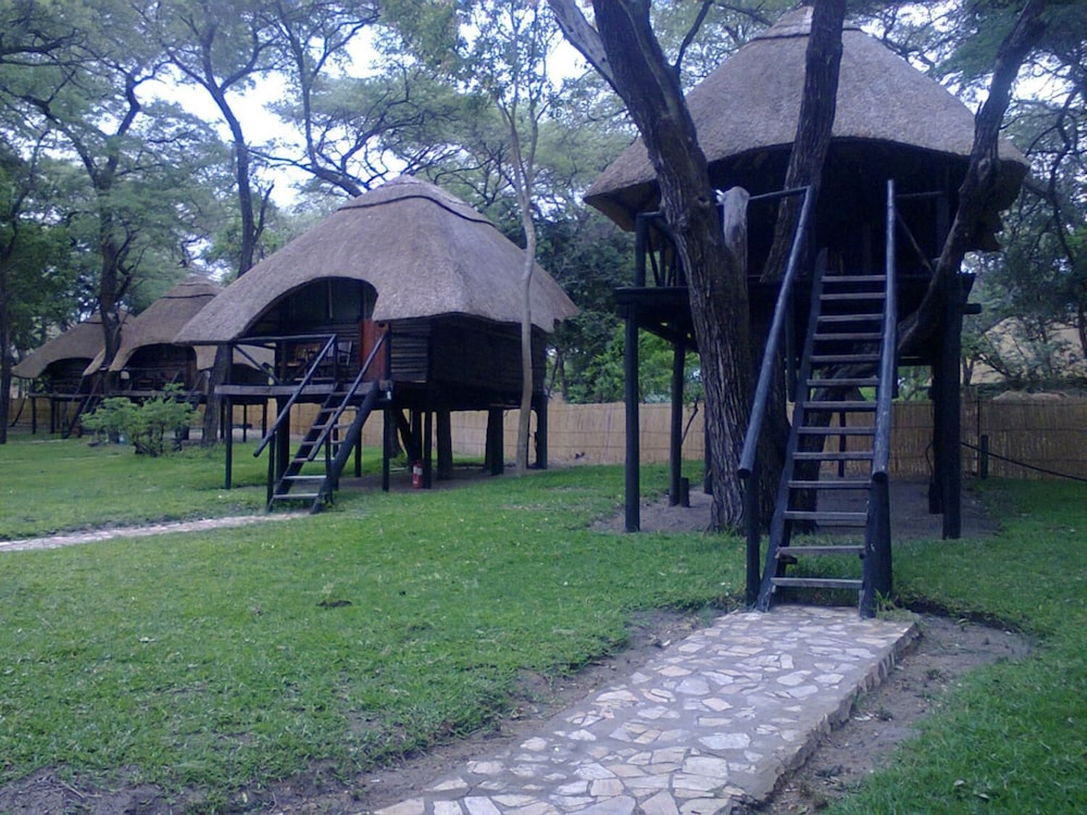 the tree lodge at sikumi