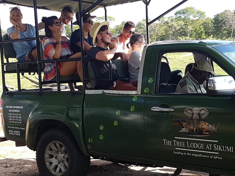 the tree lodge at sikumi