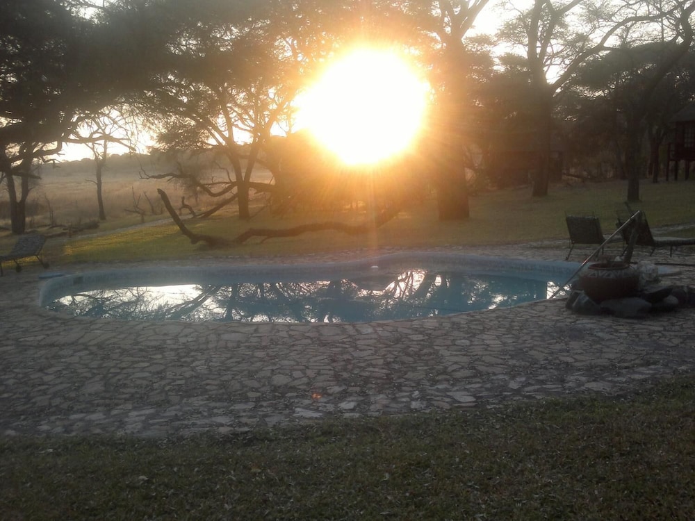 the tree lodge at sikumi