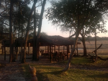 the tree lodge at sikumi