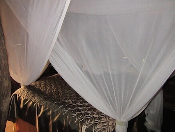 the tree lodge at sikumi