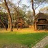the tree lodge at sikumi