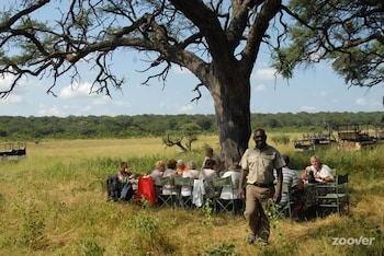 the tree lodge at sikumi