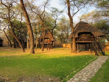 the tree lodge at sikumi