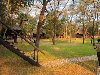 the tree lodge at sikumi