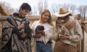 cinco cumbres luxury camp and eco lodge
