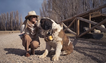 cinco cumbres luxury camp and eco lodge