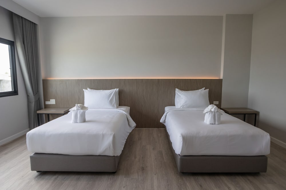 beelive hotel