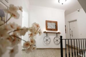 rodina suites