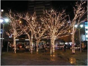 central hotel sasebo