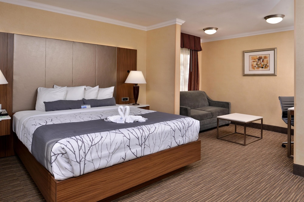 best western hollywood plaza inn hollywood walk of fame
