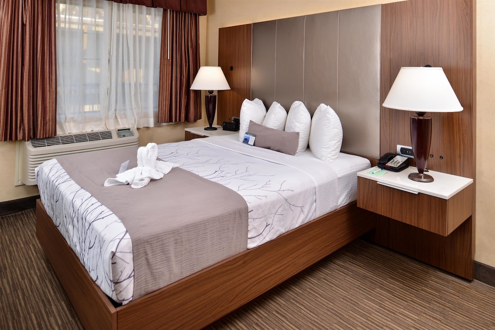 best western hollywood plaza inn hollywood walk of fame