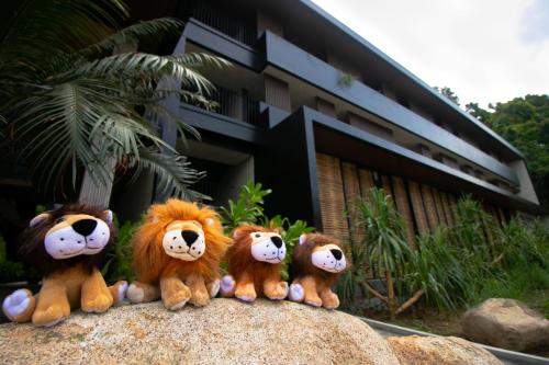 the funny lion el nido