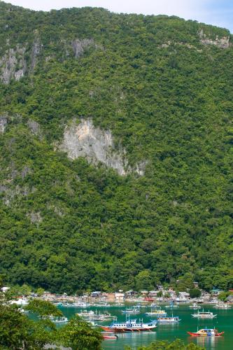 the funny lion el nido