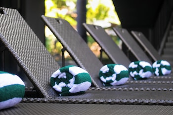 the funny lion el nido