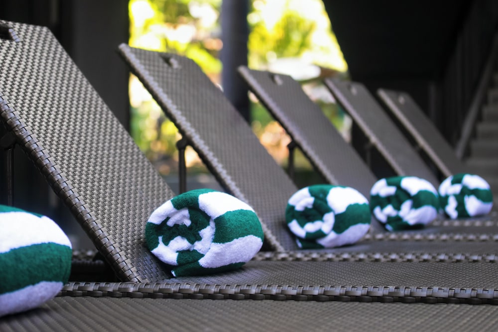 the funny lion el nido