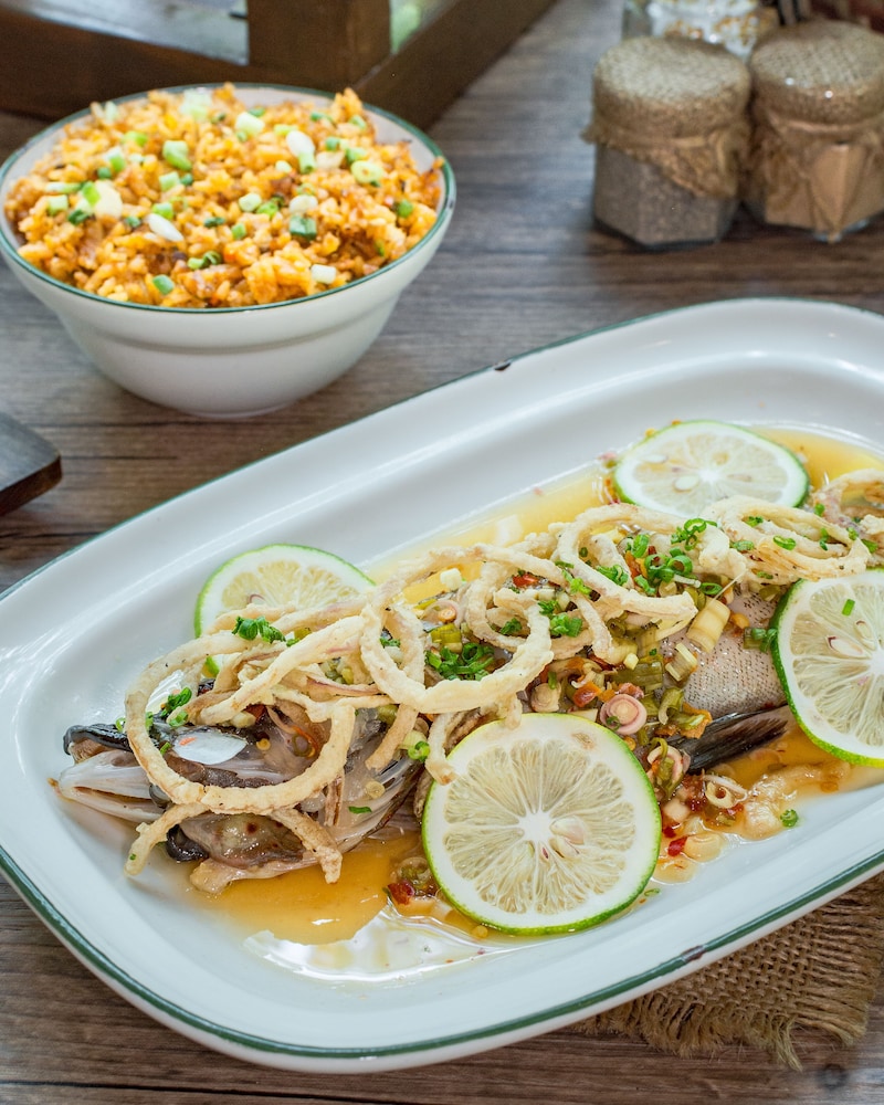 the funny lion el nido