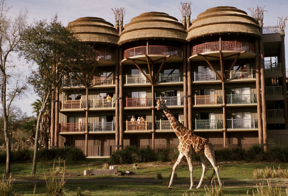 disneys animal kingdom villas jambo house