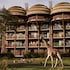 disneys animal kingdom villas jambo house