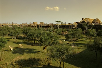 disneys animal kingdom villas jambo house