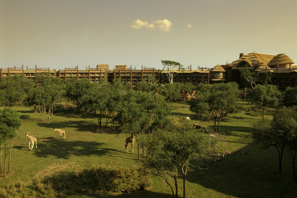 lake buena vista
