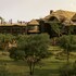 disneys animal kingdom villas jambo house