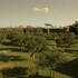 disneys animal kingdom villas jambo house