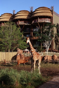 disneys animal kingdom villas jambo house
