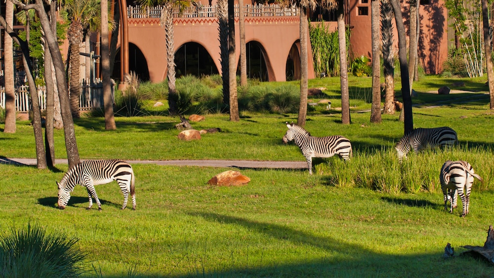 disneys animal kingdom villas jambo house