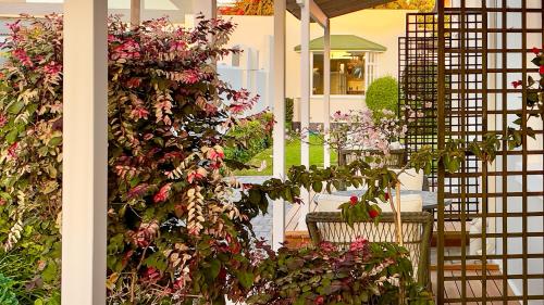 brigadoon boutique guesthouse l ondili