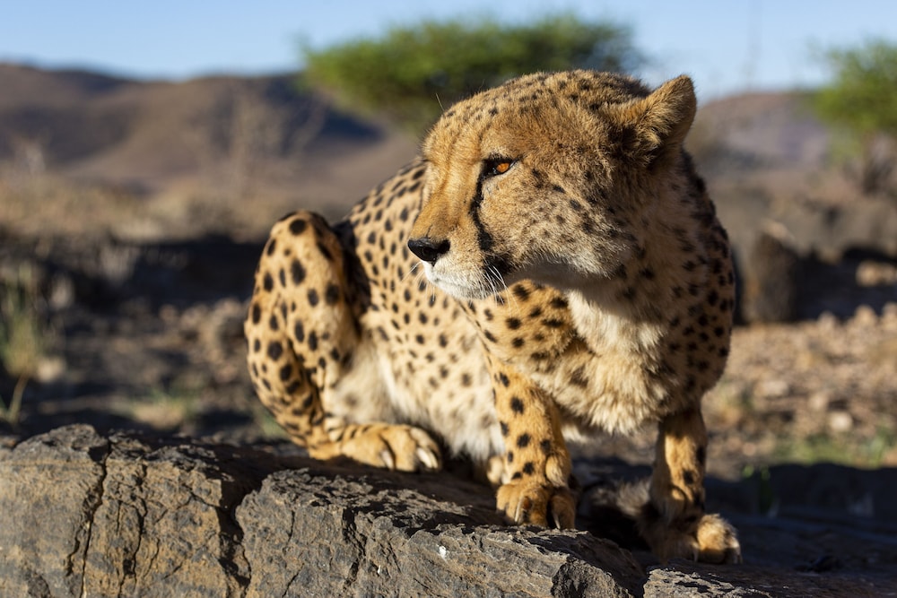 neuras wine and wildlife estate
