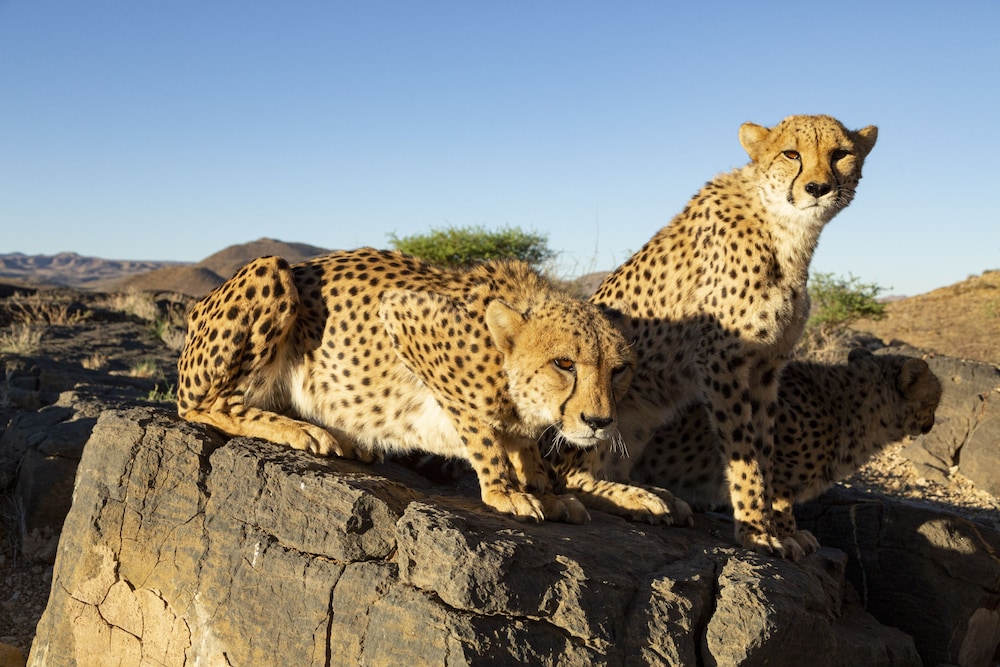 neuras wine and wildlife estate