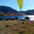 hermosa cabana coyhaique
