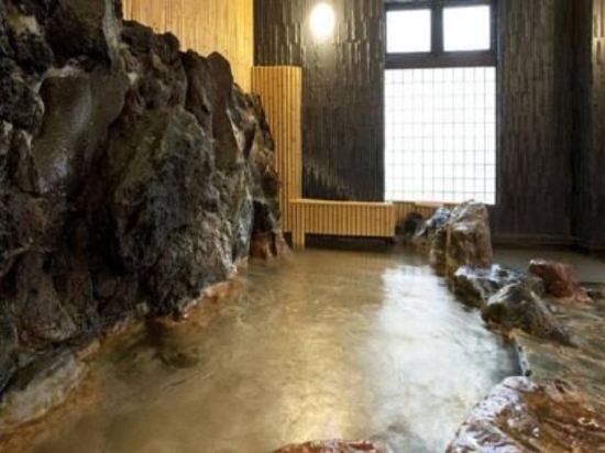 otaru asarigawa onsen hotel musashitei
