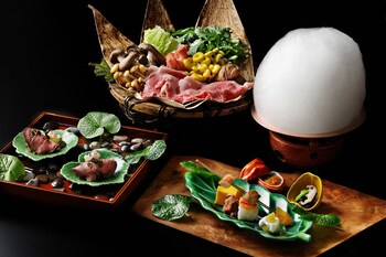 hoshino resorts kai alps