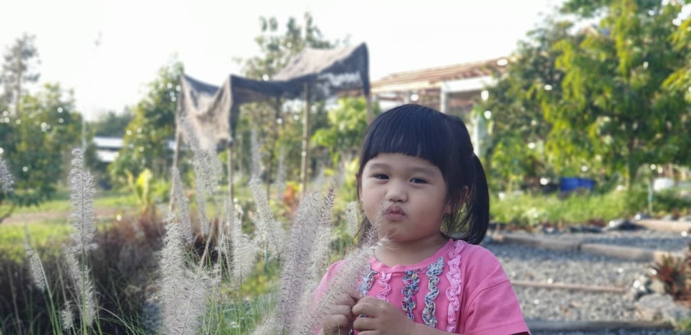 pans farm