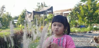 pans farm
