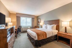 comfort inn and suites