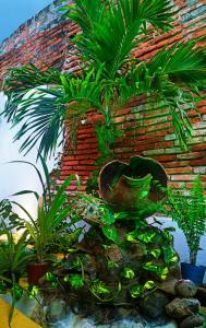 albarrada hotel boutique