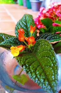 albarrada hotel boutique